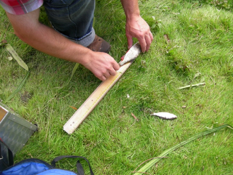 Lith 2008 (135)